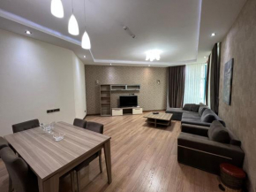 Central Deluxe Apartments at Nizami